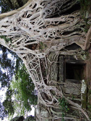 cover image of Le Cambodge